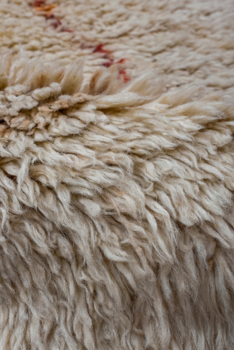 tulu Rug - # 125399