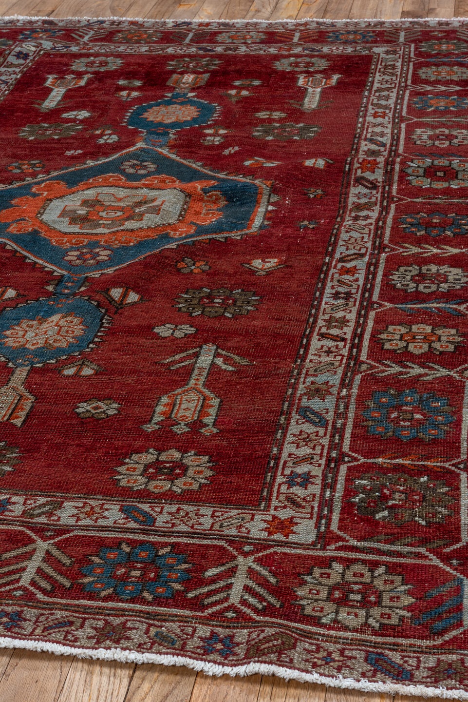 shirvan Rug - # 126150