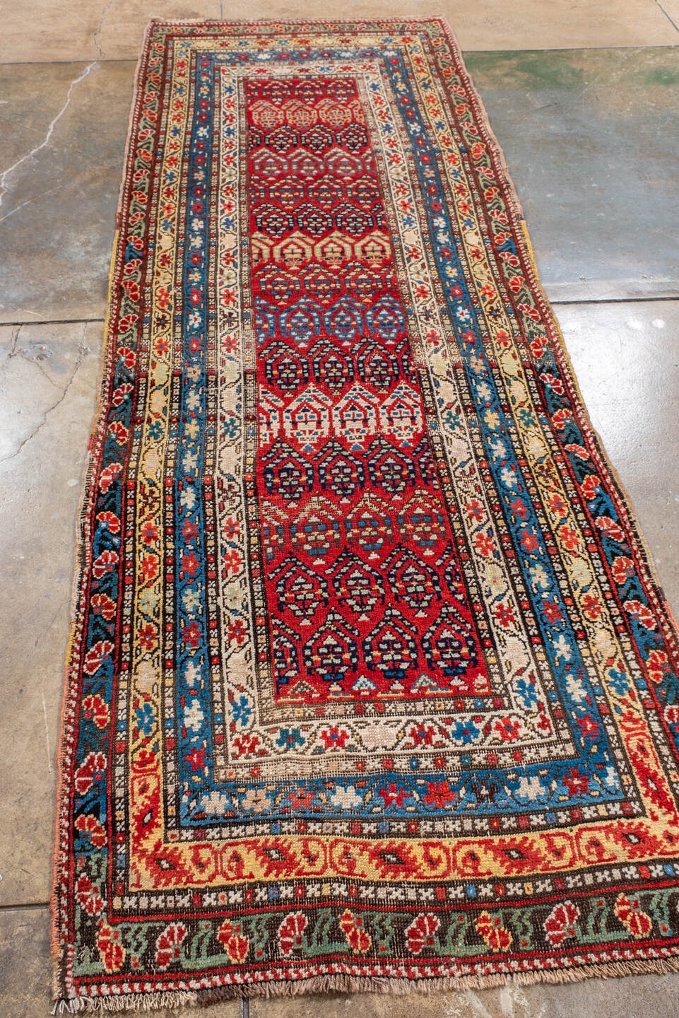 caucasian Runner - # 127875