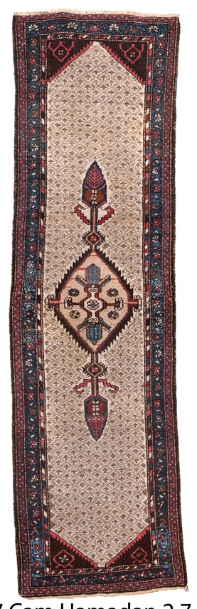 cam hamadan Runner - # 127892