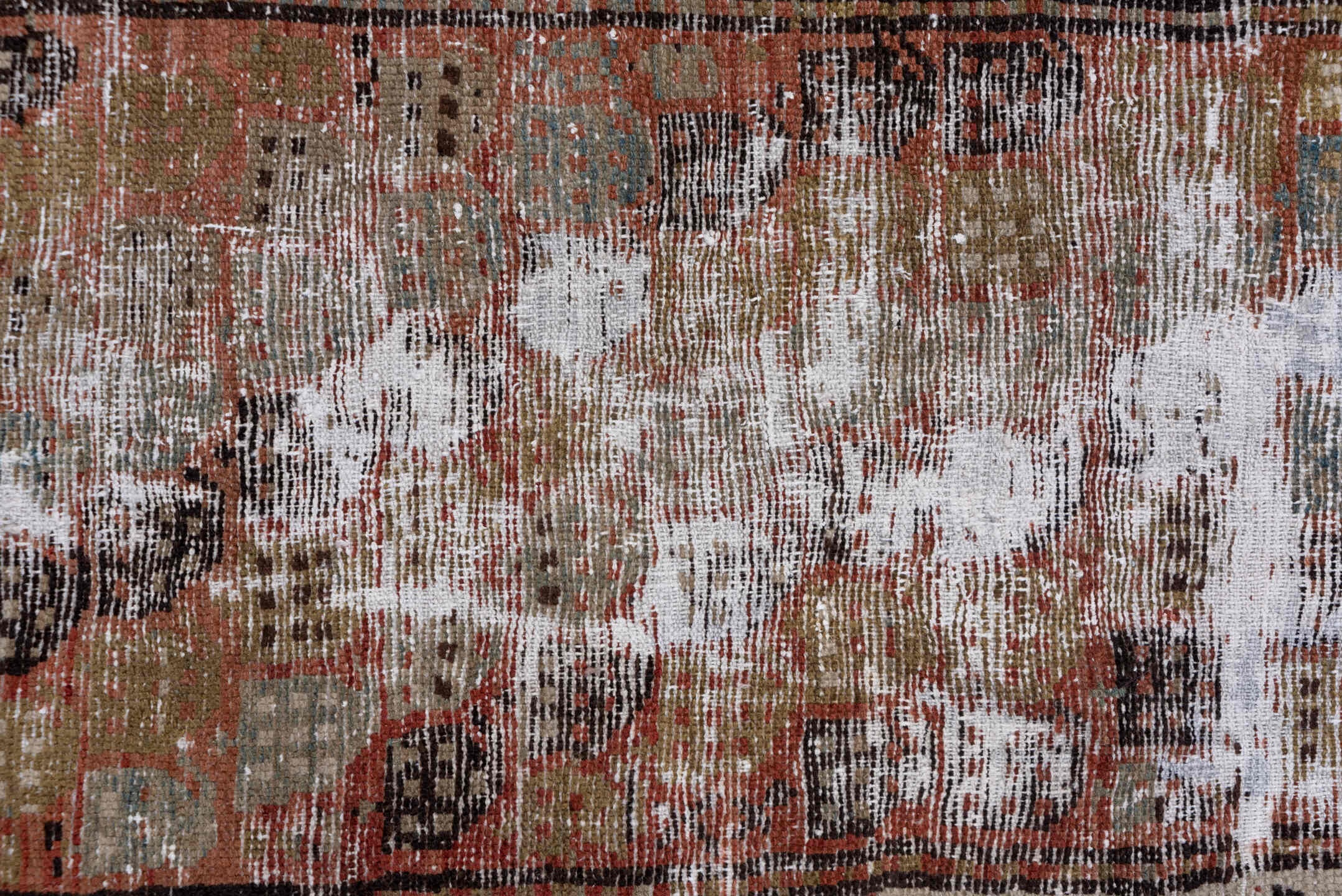 caucasian Runner - # 127986