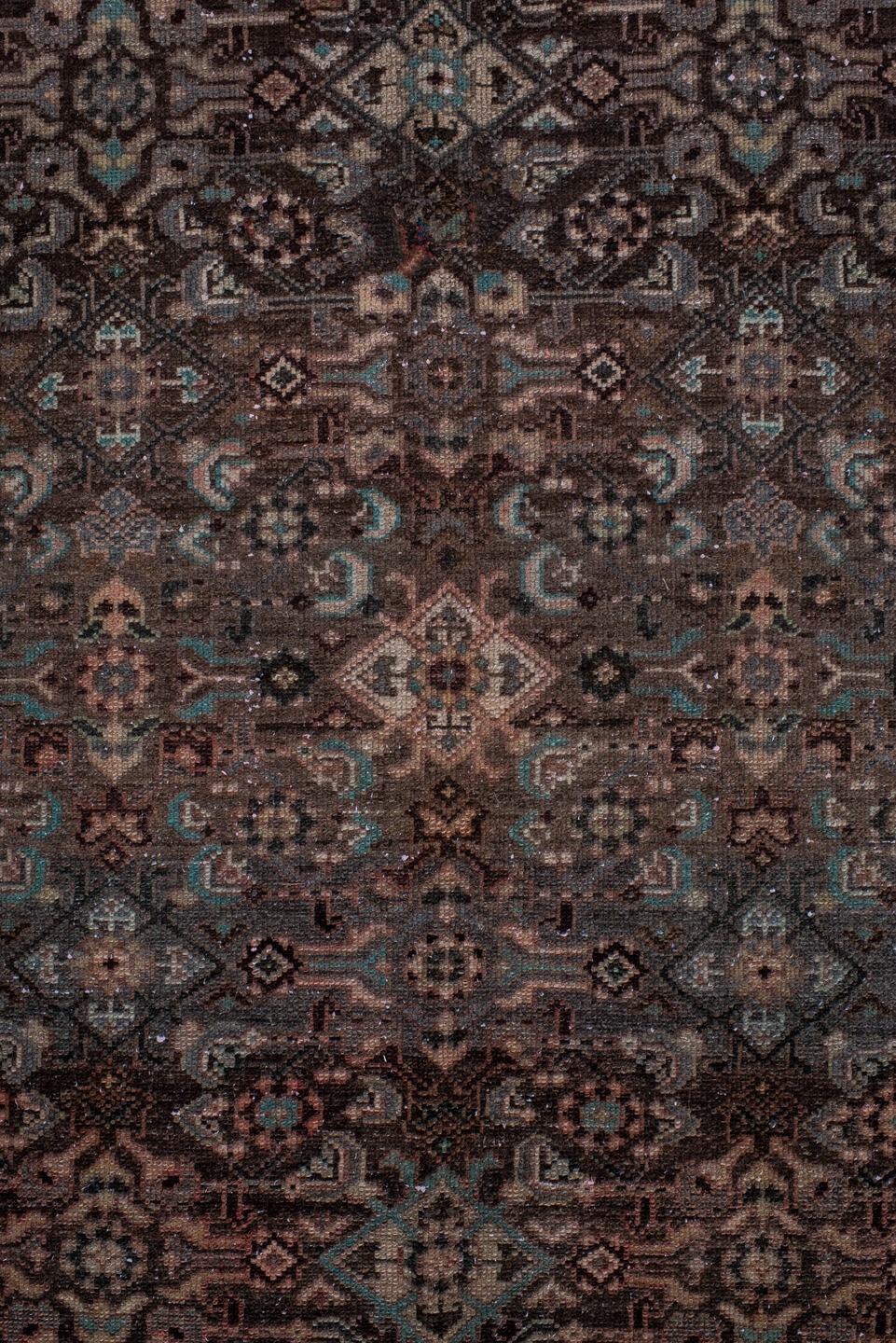 malayer Runner - # 128577