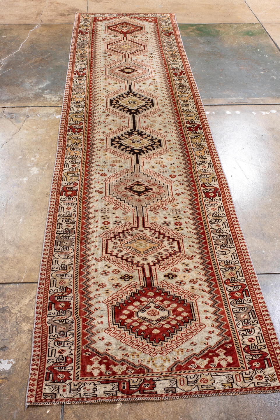 shiraz Runner - # 128588