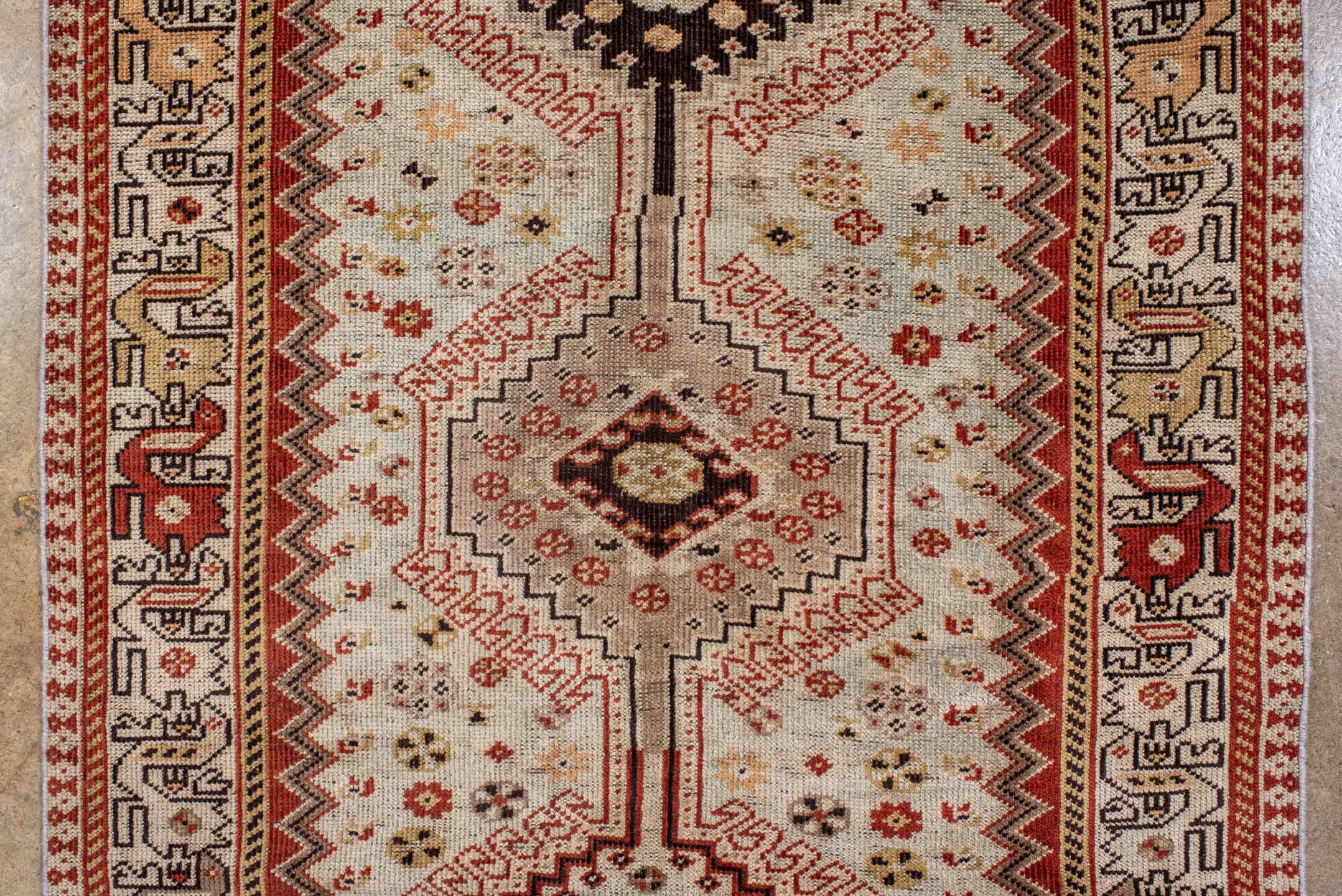 shiraz Runner - # 128588