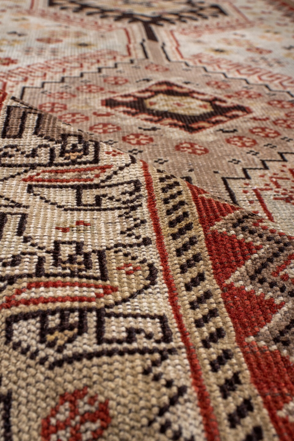 shiraz Runner - # 128588