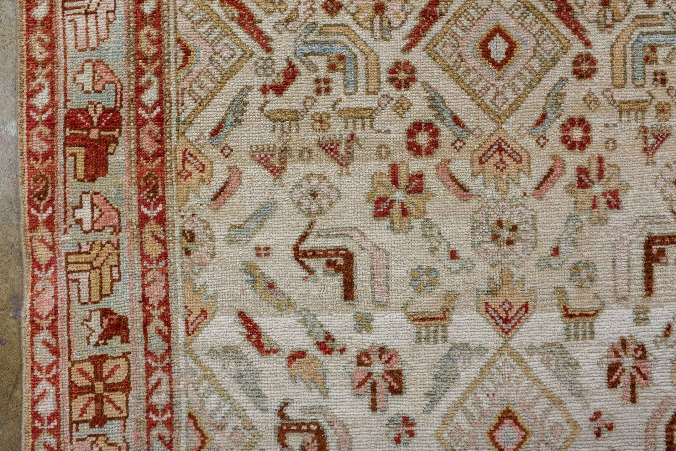 dargazin Runner - # 128754