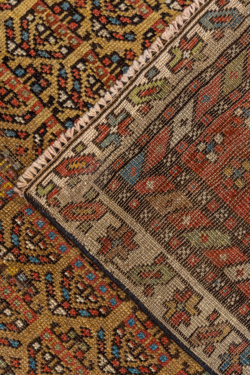 kurd - # 128760