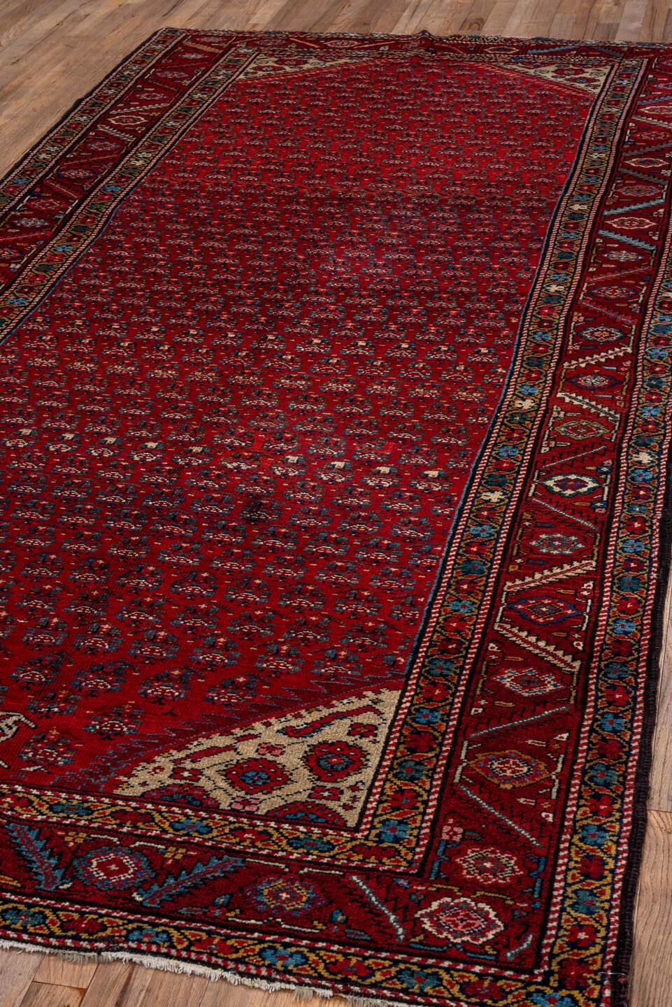 malayer - # 128961