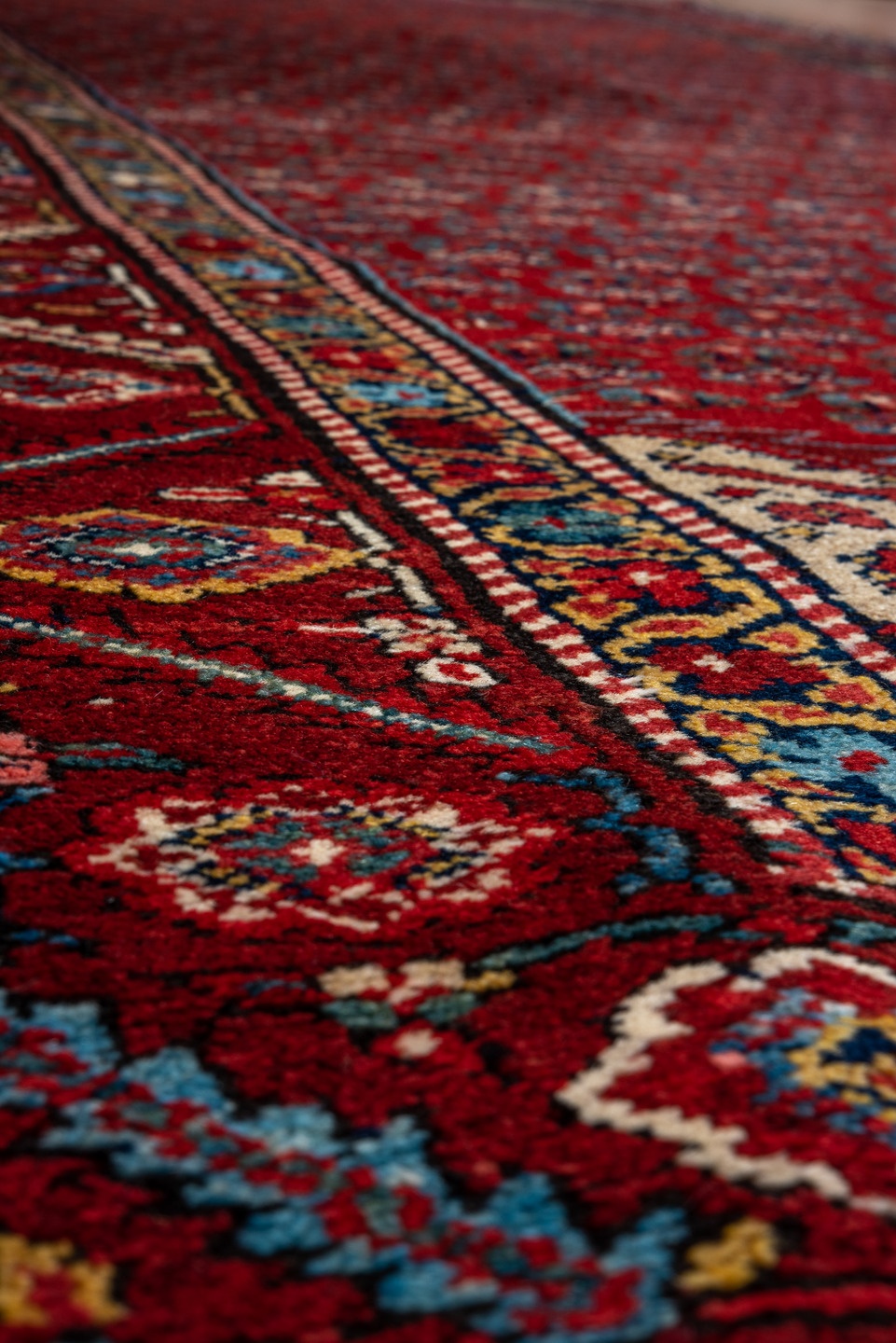 malayer - # 128961
