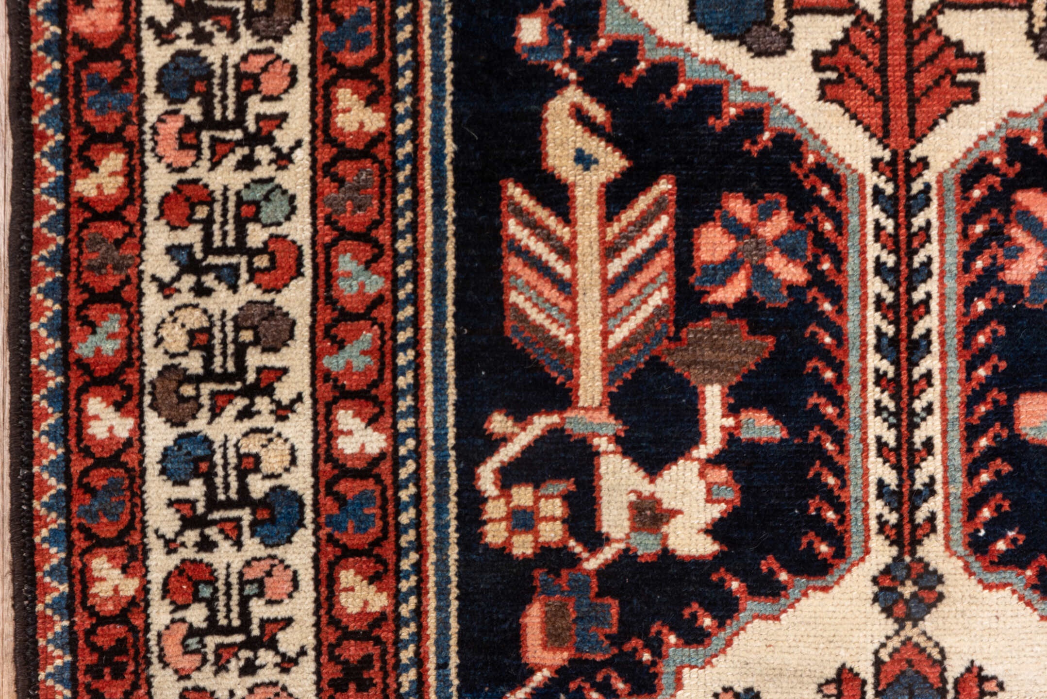 baktiary Runner - # 128911