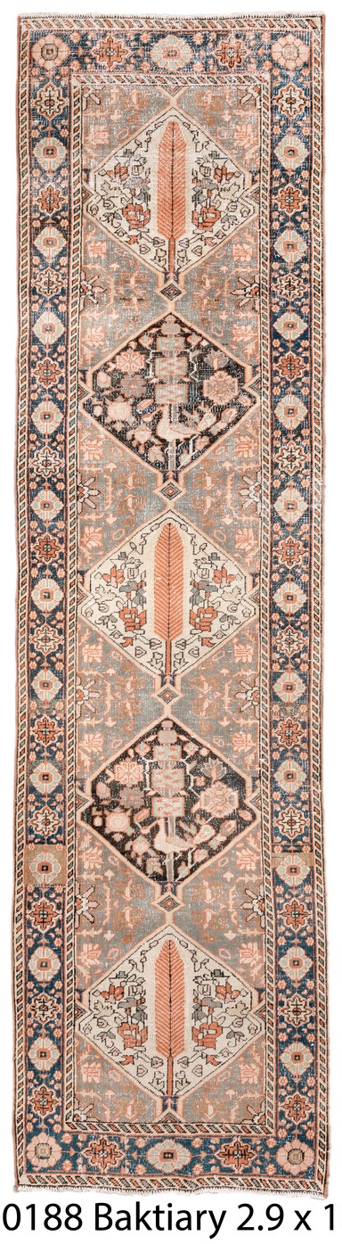 baktiary Runner - # 128972