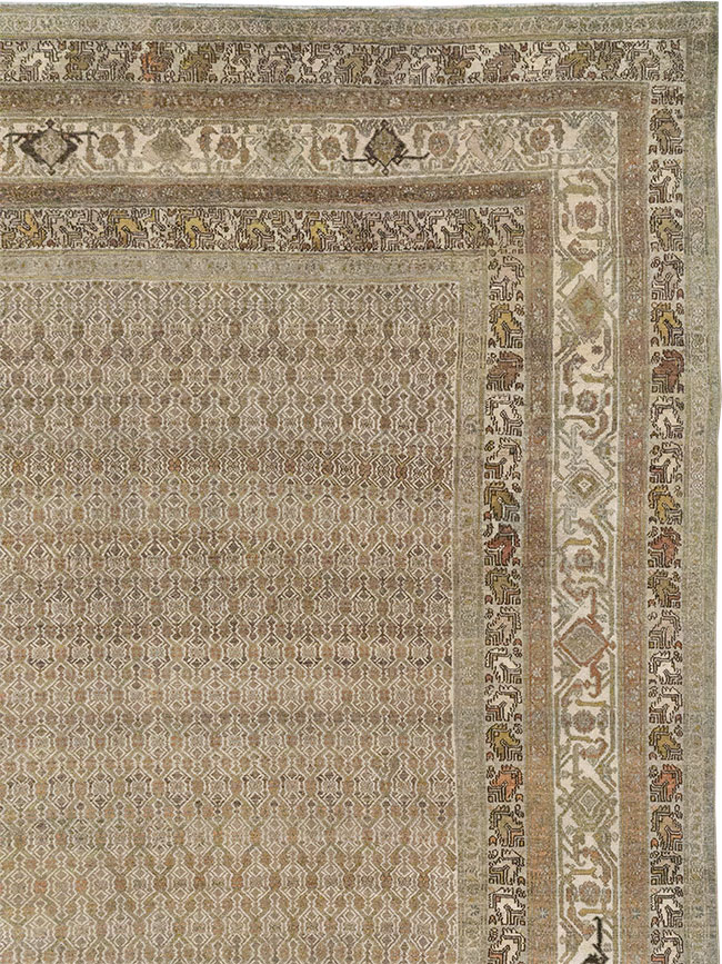 bibi kabad Carpet - # 107150