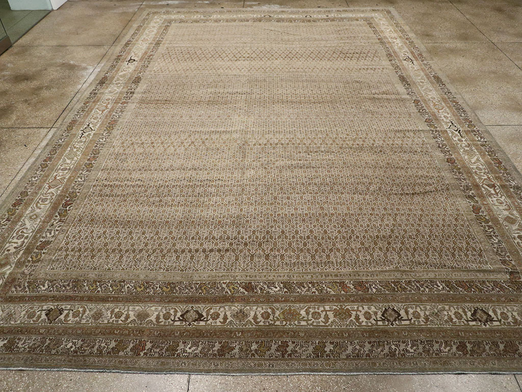 bibi kabad Carpet - # 107150