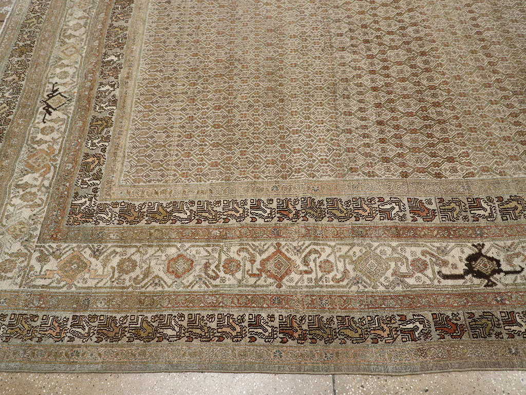 bibi kabad Carpet - # 107150