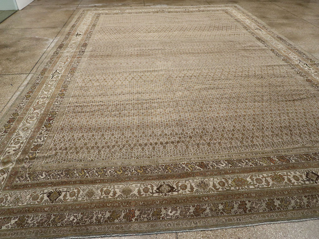 bibi kabad Carpet - # 107150