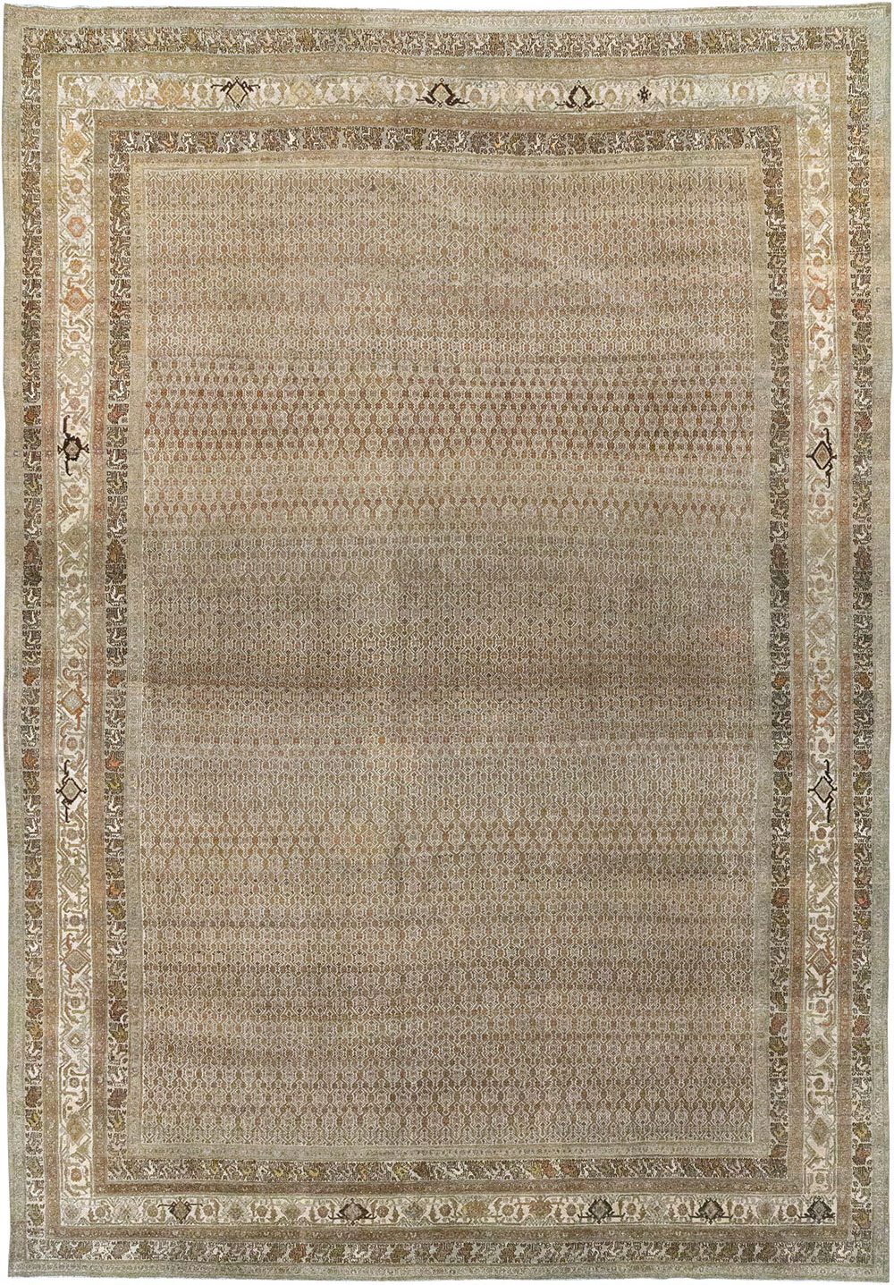 bibi kabad Carpet - # 107150