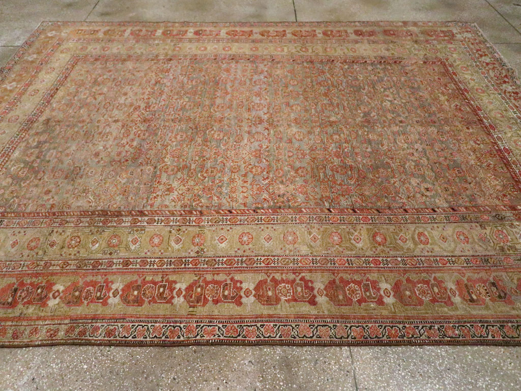 bidjar Carpet - # 103699