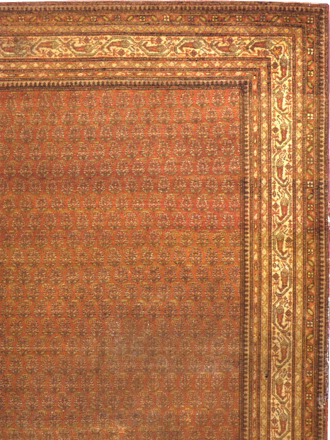 indian Carpet - # 103791