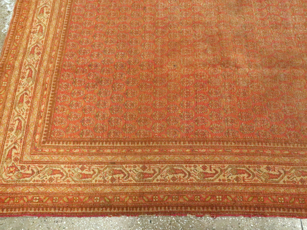 indian Carpet - # 103791