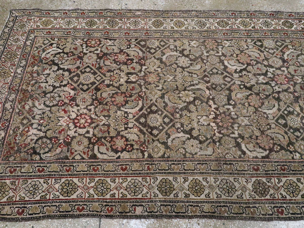 malayer - # 102746