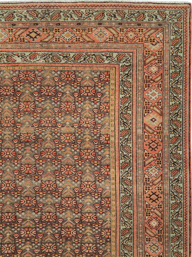 malayer - # 103995