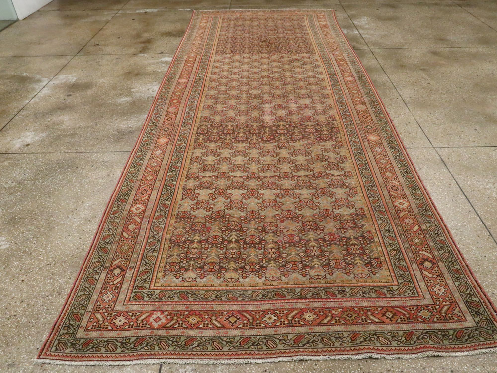 malayer - # 103995