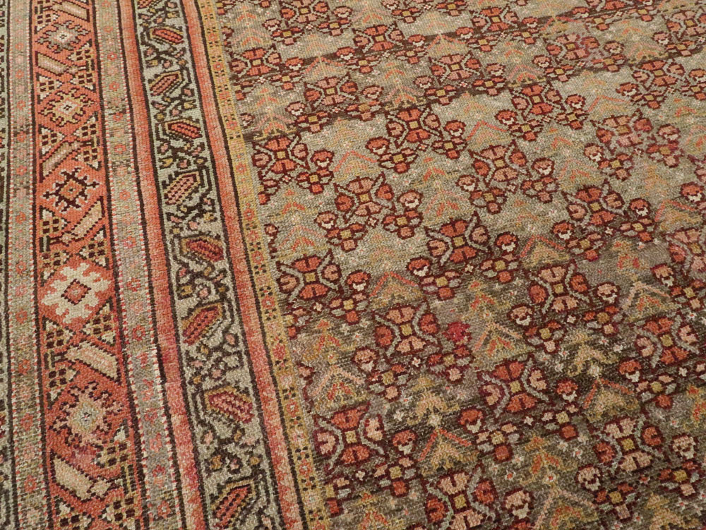 malayer - # 103995