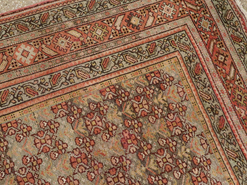 malayer - # 103995