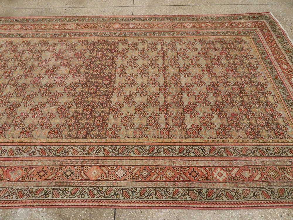 malayer - # 103995