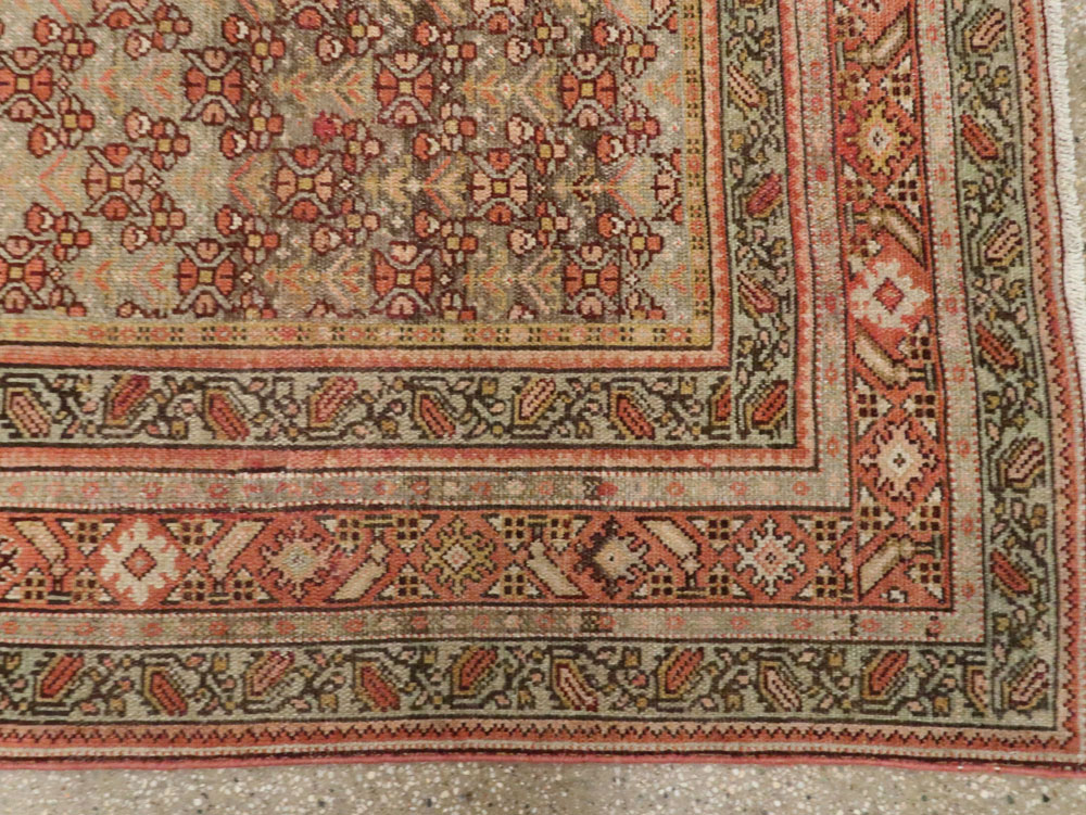 malayer - # 103995