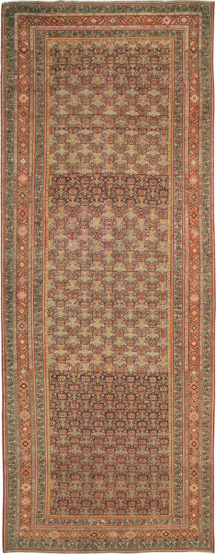 malayer - # 103995