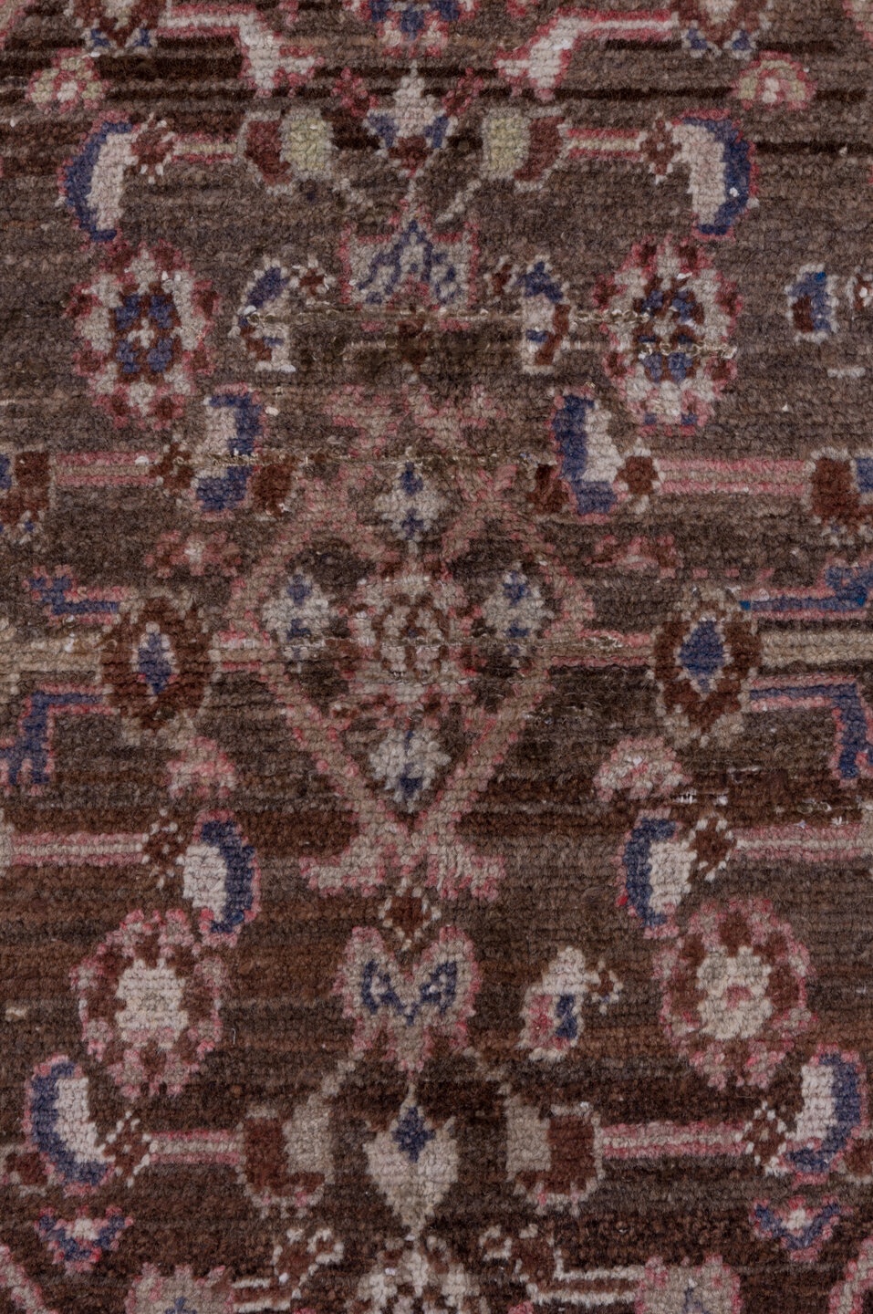 malayer - # 129195