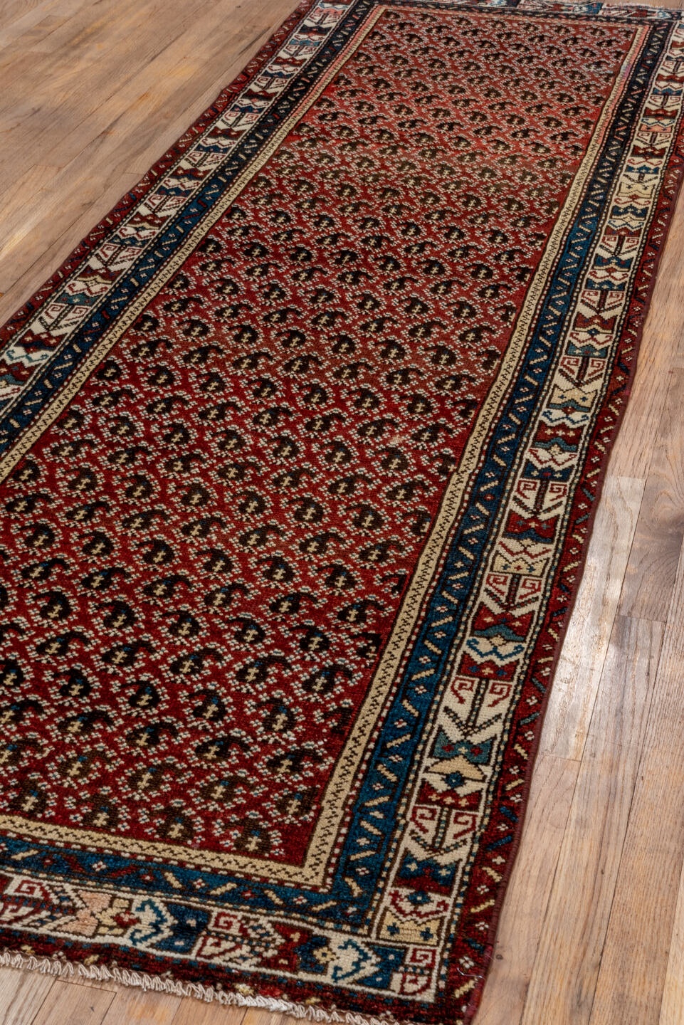 malayer Runner - # 128764