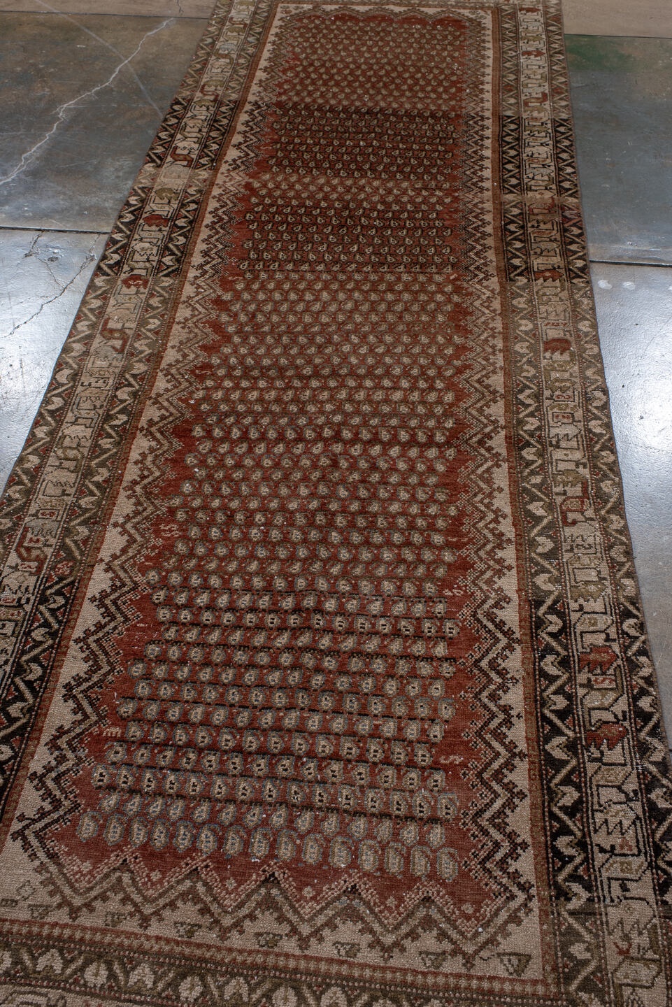 malayer Runner - # 129131