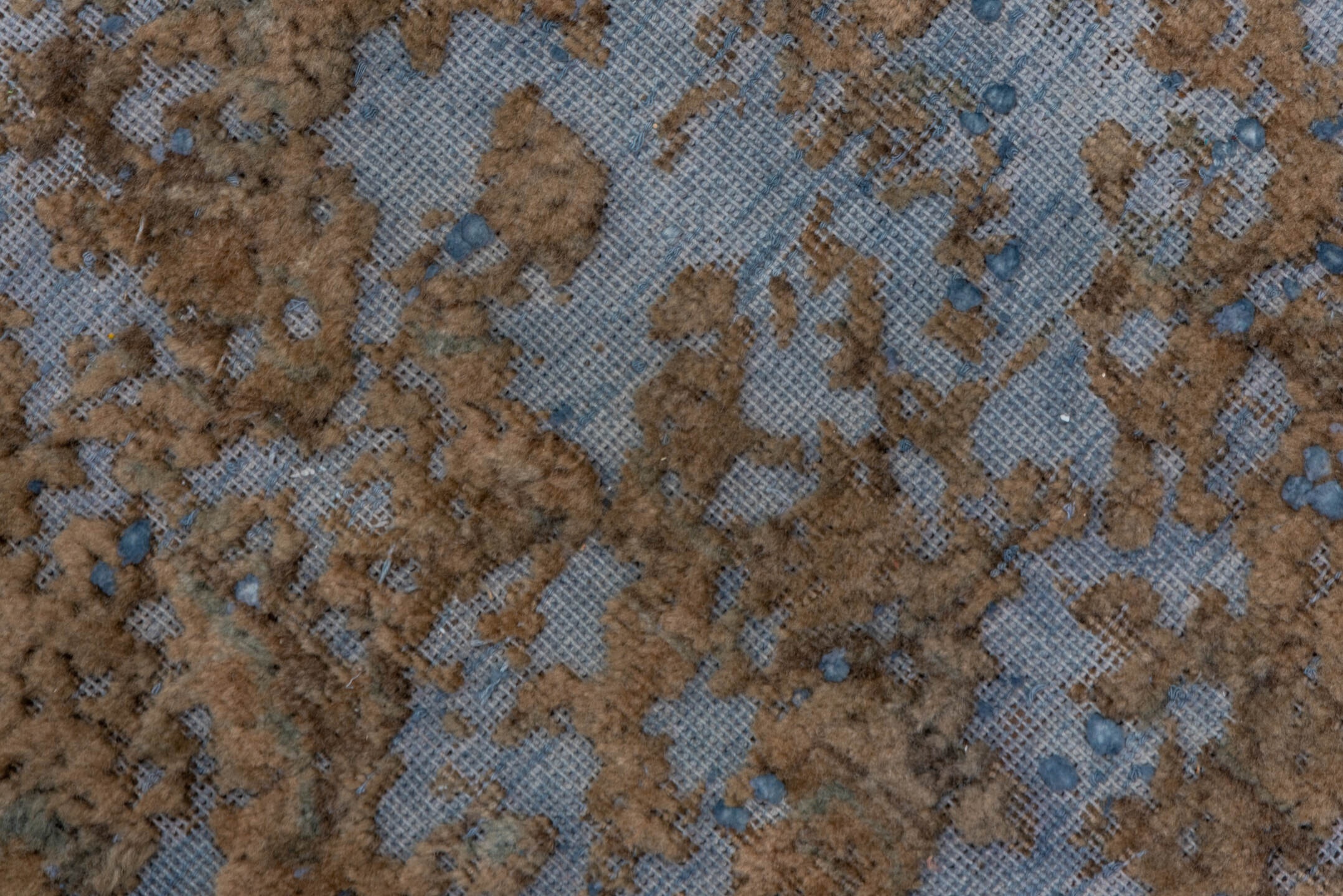 overdyed Carpet - # 127913