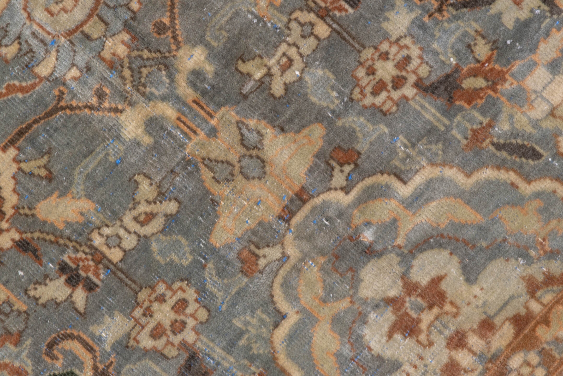 polonase Carpet - # 129145