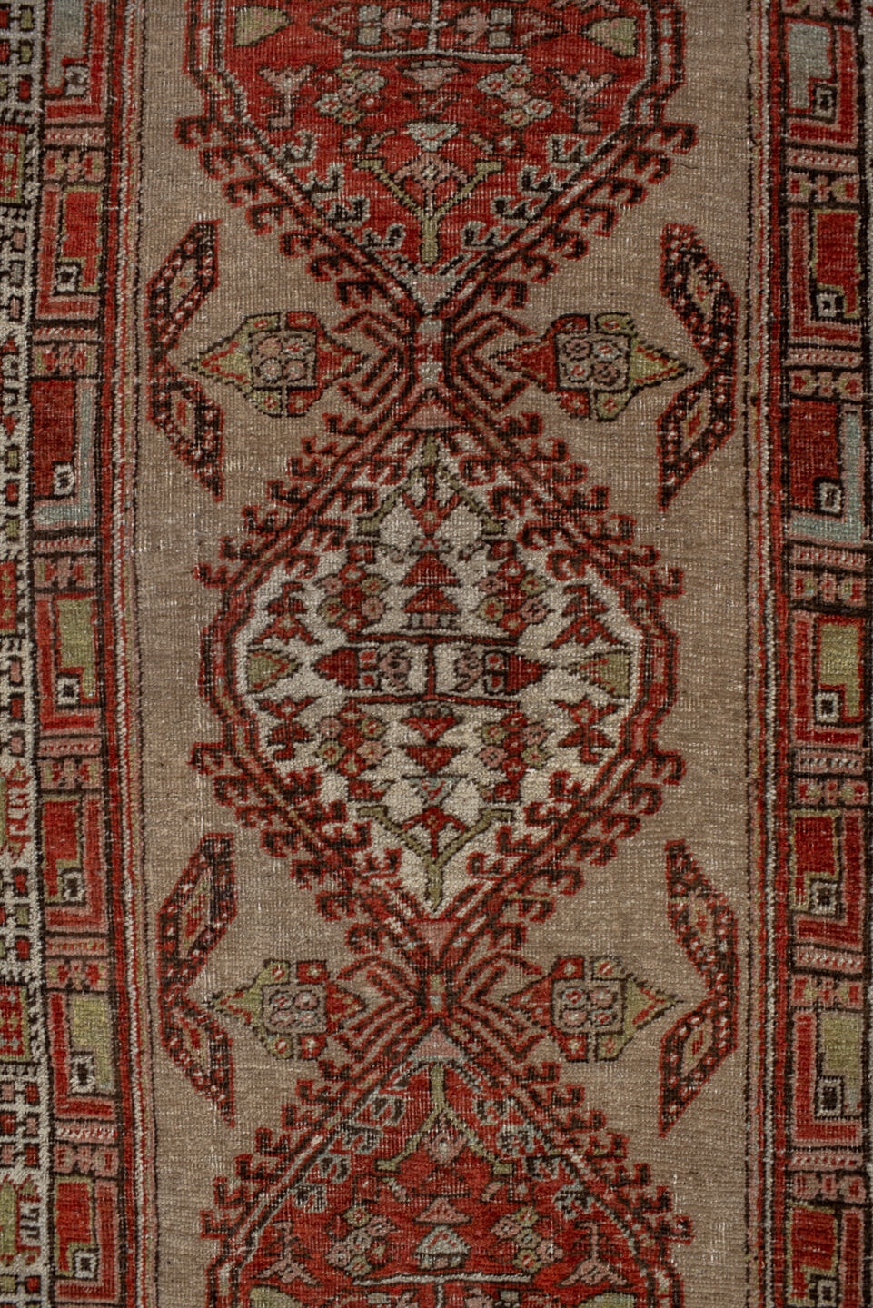 sarab Runner - # 128670