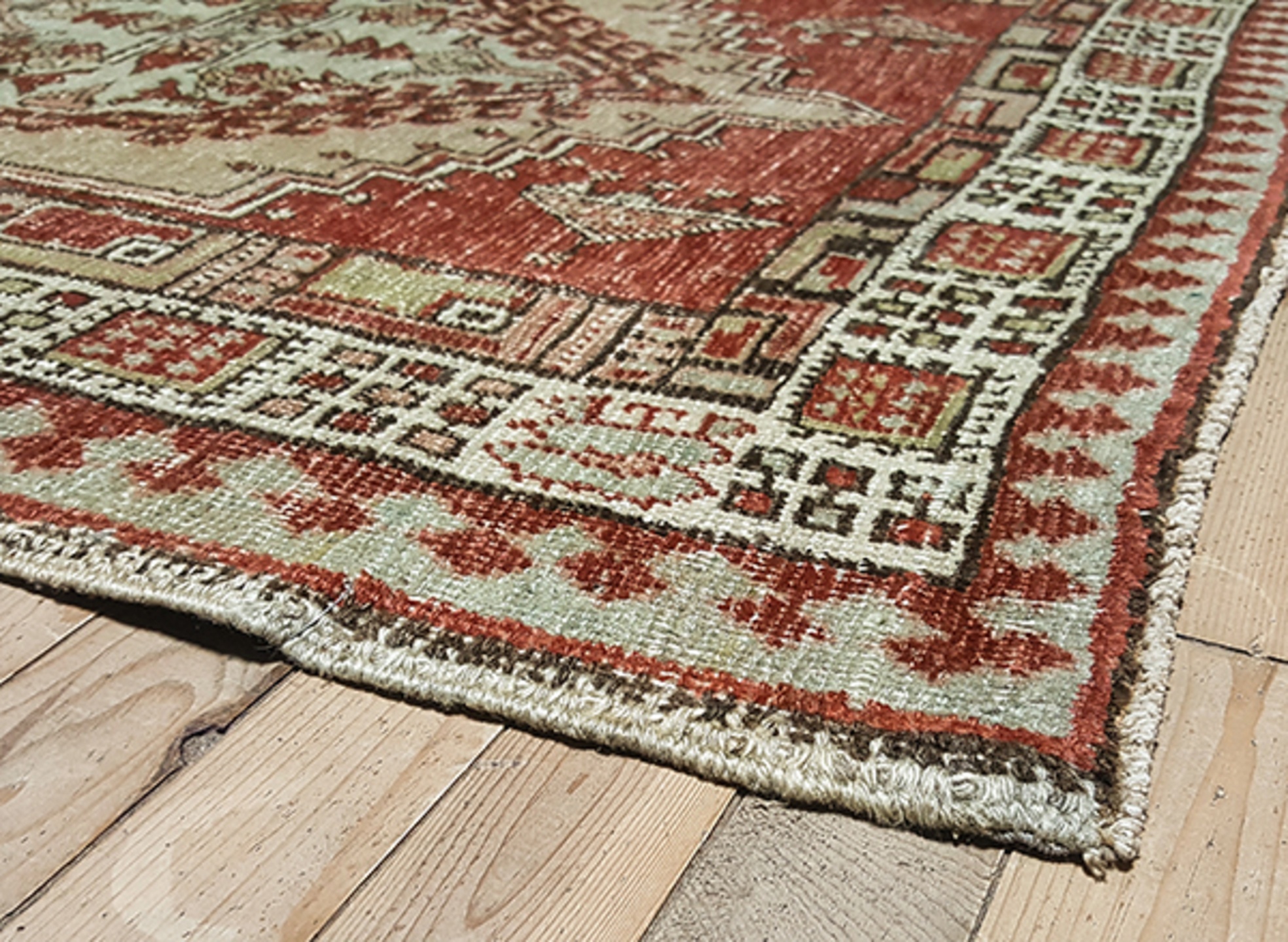 sarab Runner - # 128670