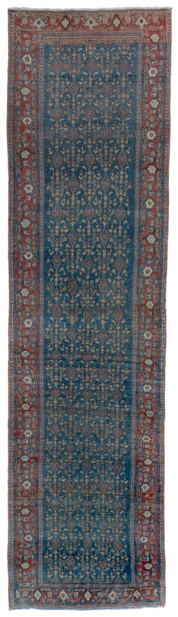 senne Runner - # 128135