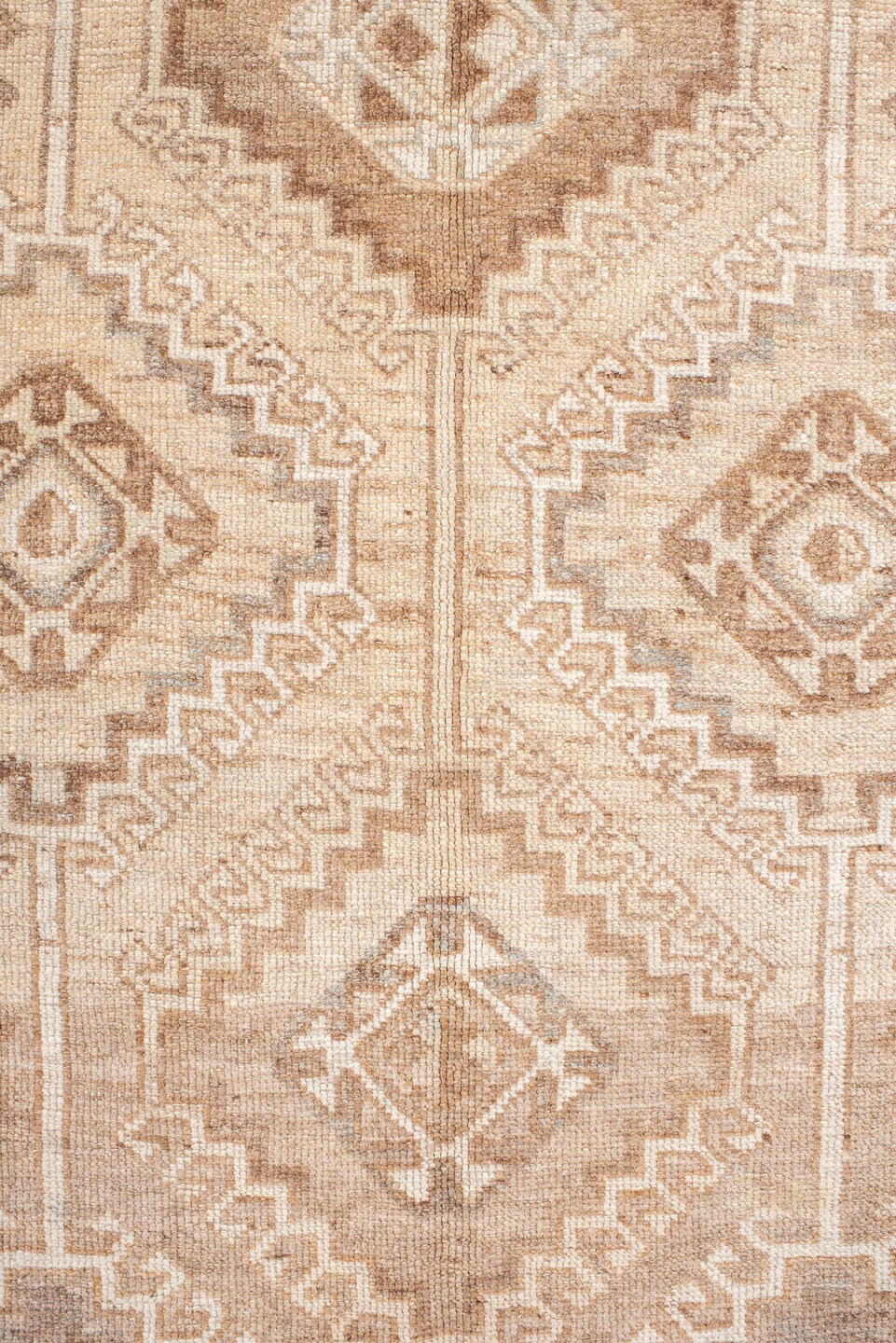 shiraz - # 128978