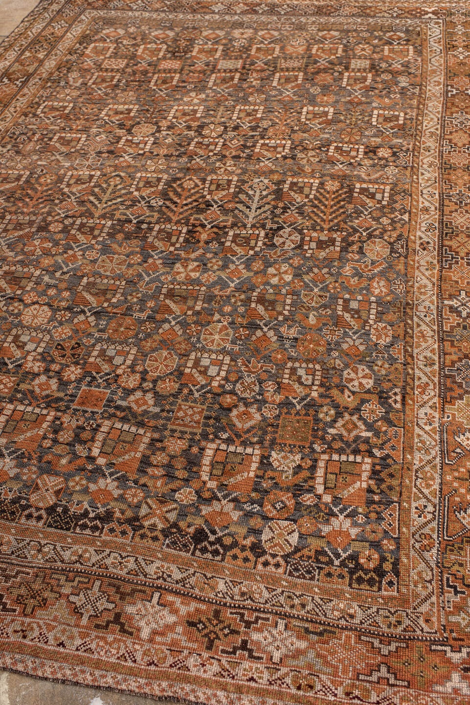 shiraz Carpet - # 128882