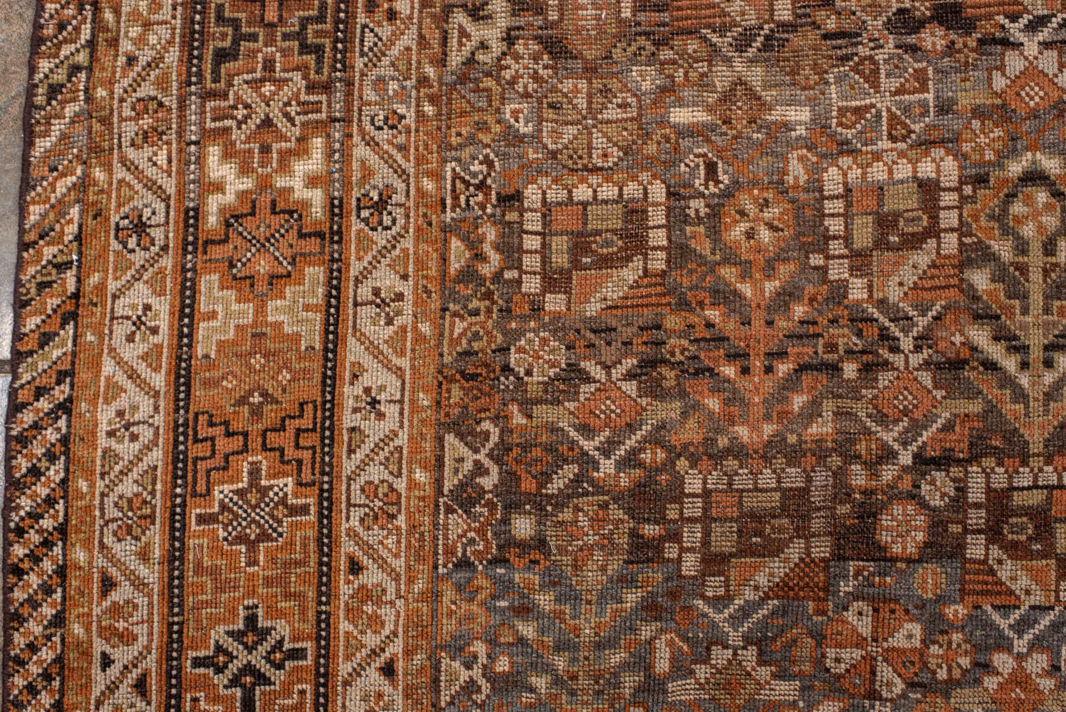 shiraz Carpet - # 128882
