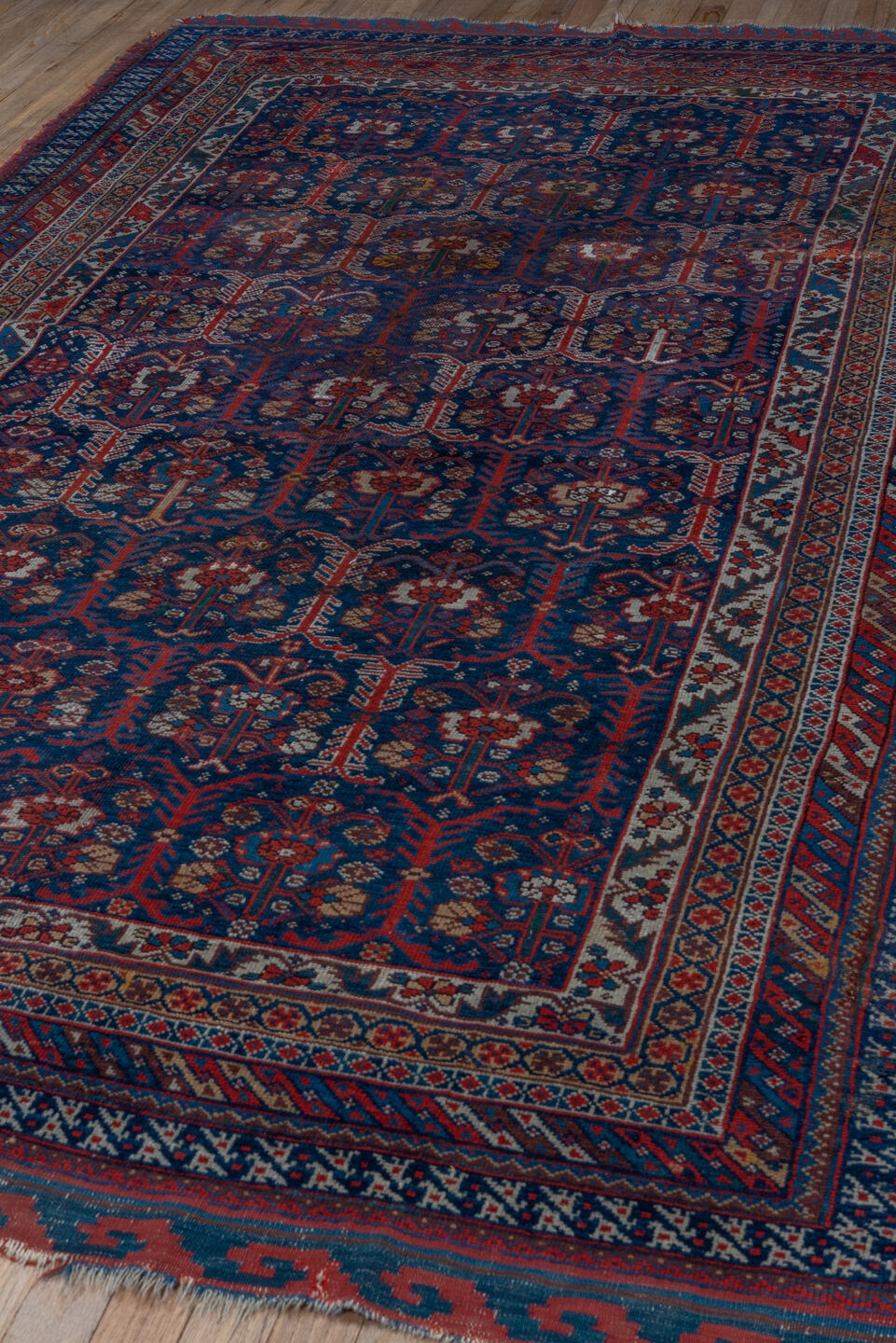 shiraz Rug - # 128639