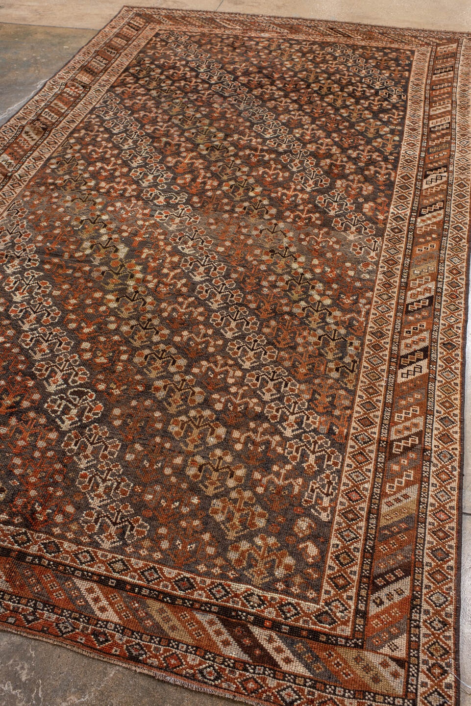 shiraz Rug - # 129167