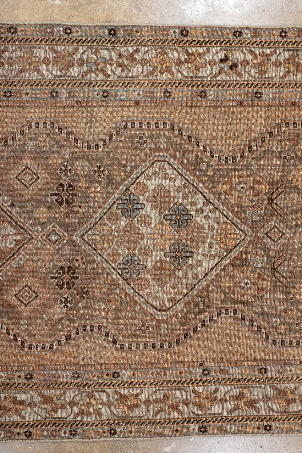 shiraz Runner - # 127981