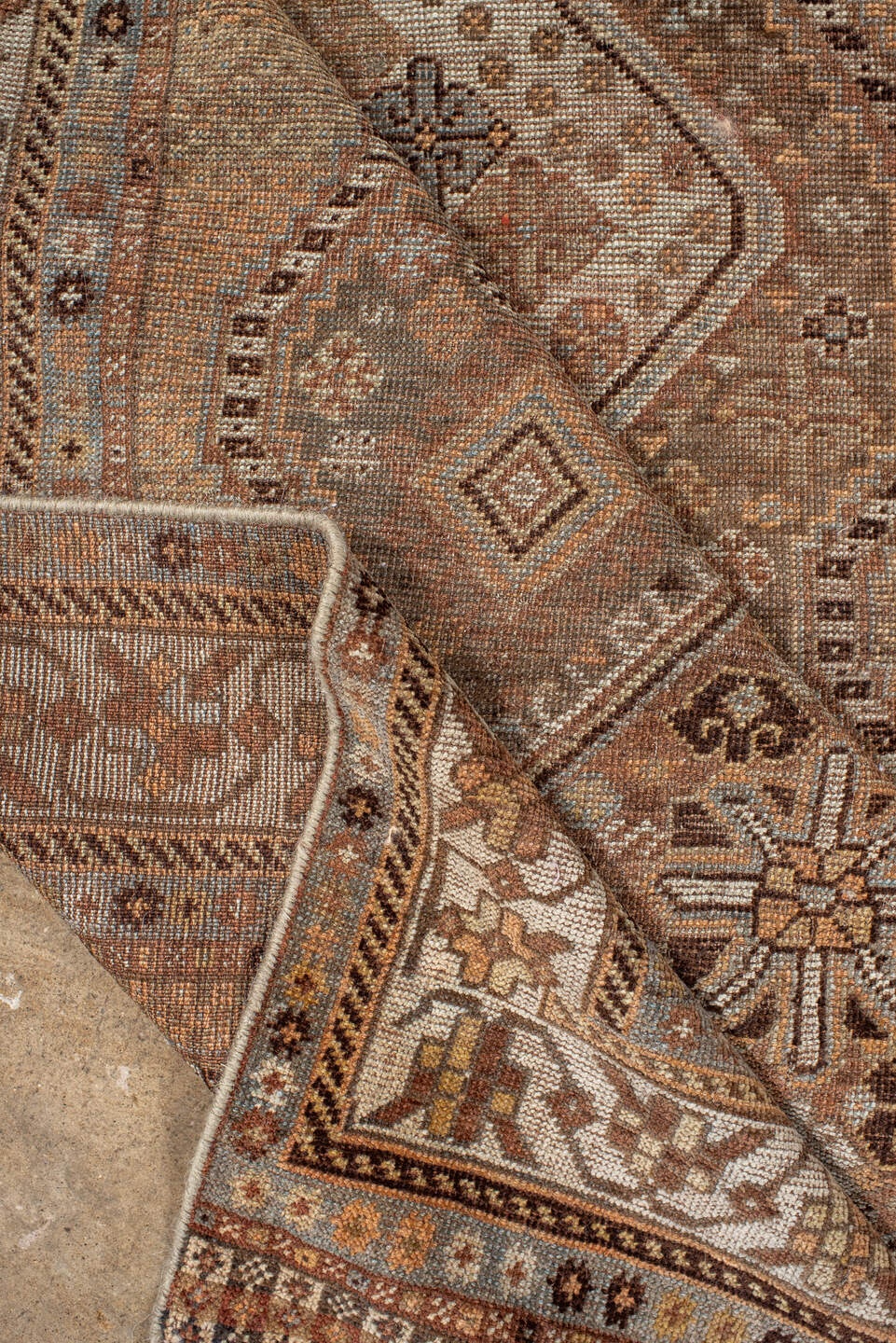 shiraz Runner - # 127981