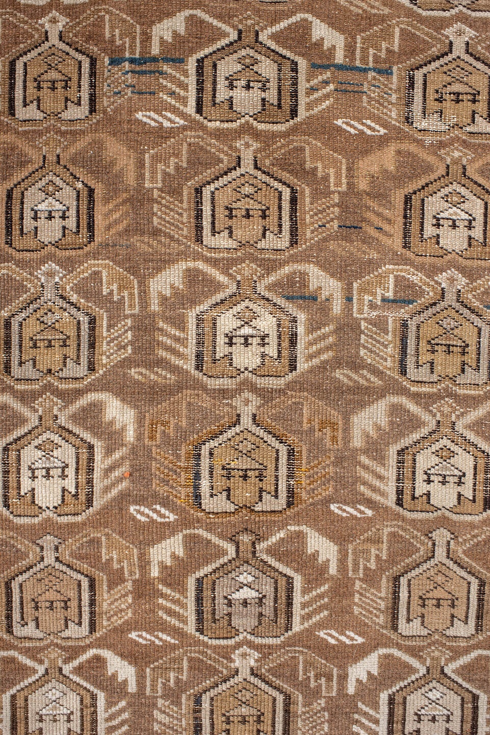 shirvan Rug - # 125675