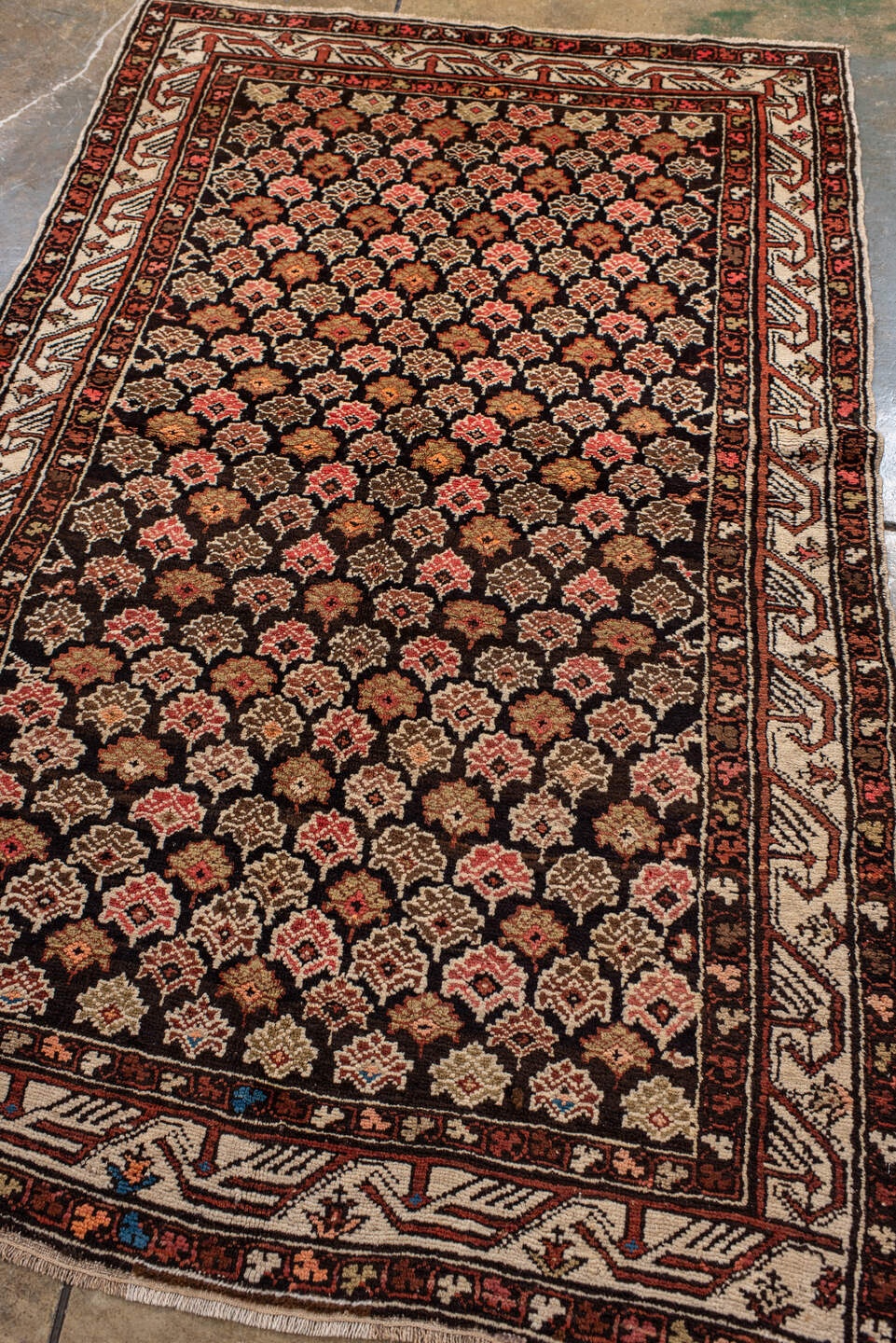 shirvan Rug - # 126146