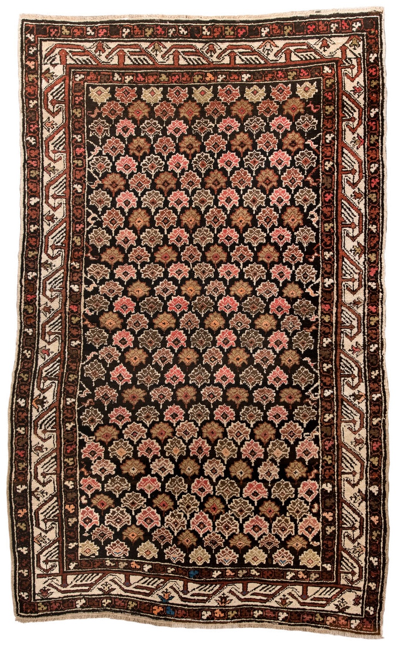 shirvan Rug - # 126146