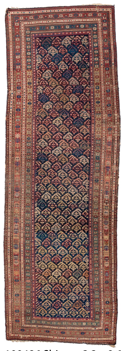 shirvan Runner - # 128359